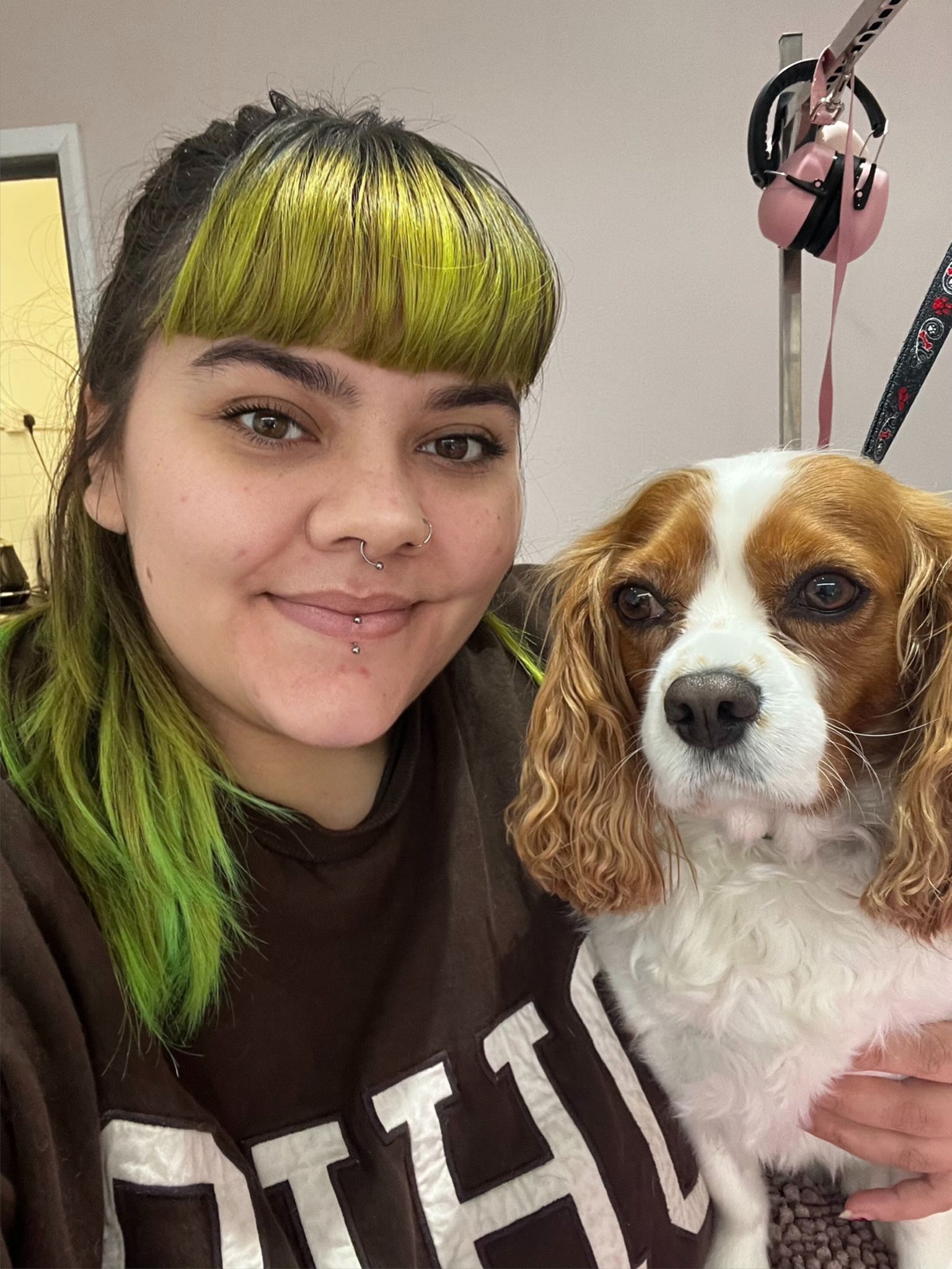 Lille, the dog groomer